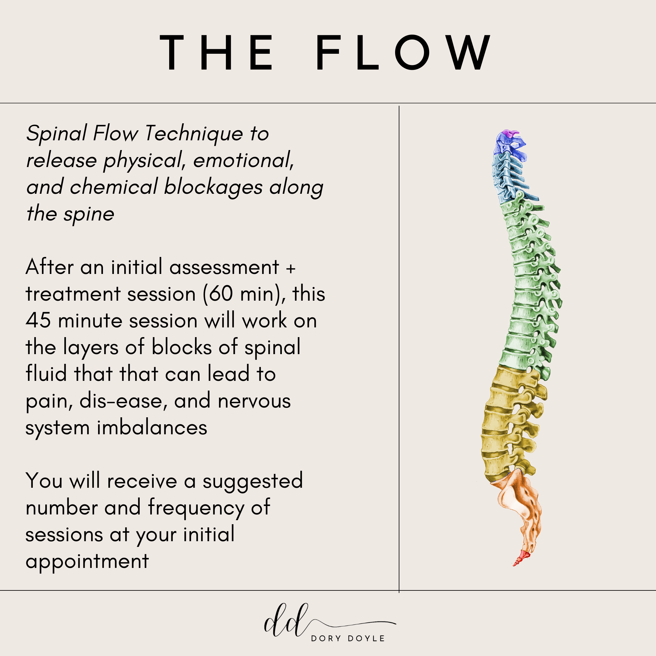 Spinal Flow